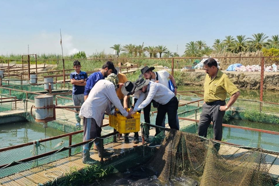 Experts from the Spanish company OX